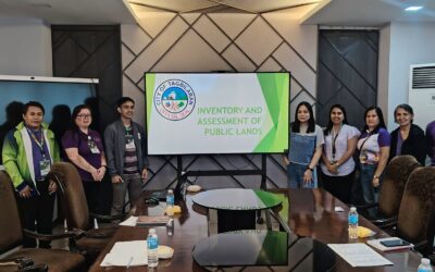 Strengthening the Inventory and Assessment of City Lots